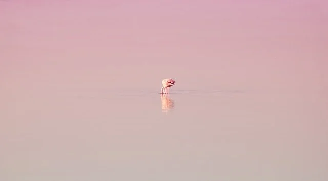 Minimalism