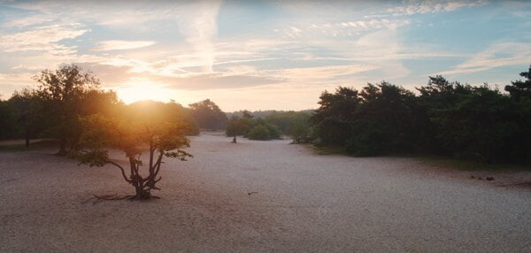 Oosterhout wandelen bos